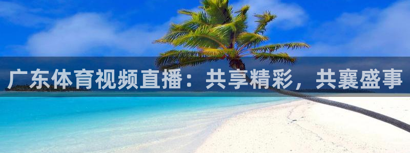 乐球直播网站：广东体育视频直播：共享精彩，共襄盛事