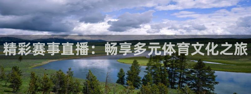 乐球直播低调看球：精彩赛事直播：畅享多元体育文化之旅