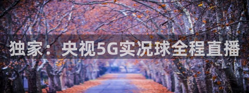 乐球直播低调看球：独家：央视5G实况球全程直播
