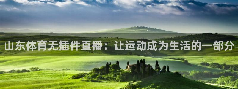 乐球直播(无插件)nba在线观看：山东体育无插件直播：让运动成为生活的一部分
