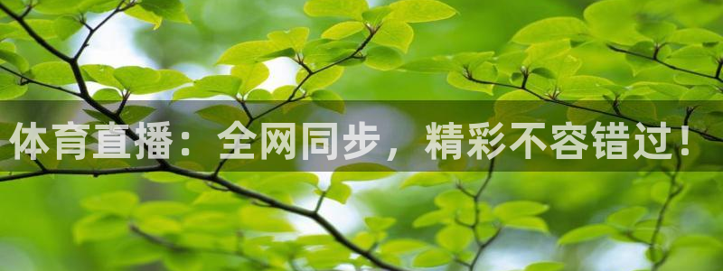 乐球直播tv：体育直播：全网同步，精彩不容错过！