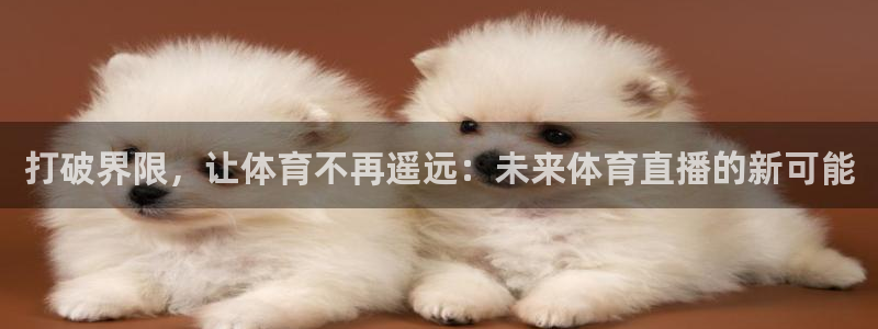 lqtv乐球直播
