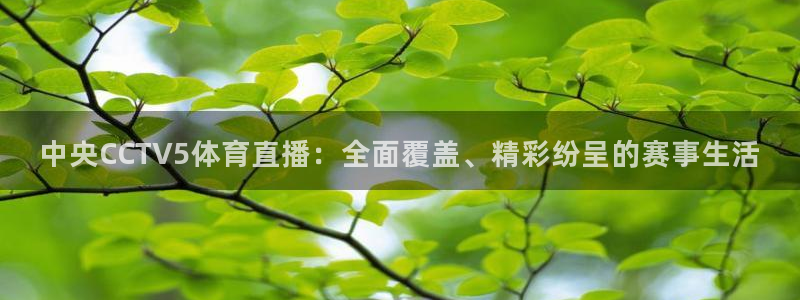 乐球直播leqiu1：中央CCTV5体育直播：全面覆盖、精彩纷呈的赛事生活