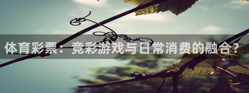 乐球直播(无插件)：体育彩票：竞彩游戏与日常消费的融合？