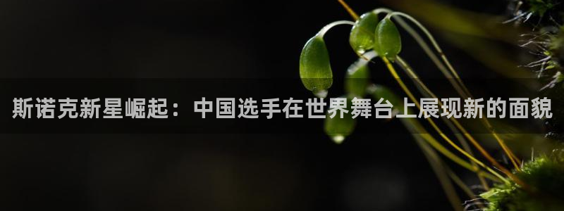 乐球直播在线观看免费版：斯诺克新星崛起：中国选手在世界舞台上展现新的面貌